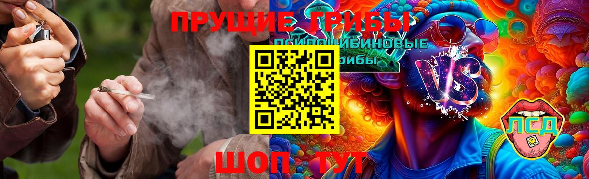 Галлюциногенные грибы GOLDEN TEACHER Тихорецк