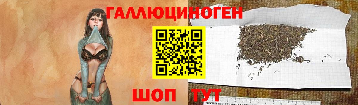 Псилоцибиновые грибы ЛСД  Вход с VPN  Тихорецк 